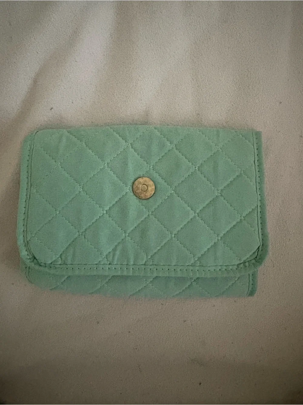Green Foldable Travel Accessory Organizer